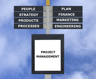 Project manager skills